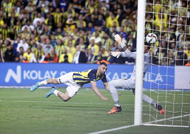 为年轻一代 为年轻一代