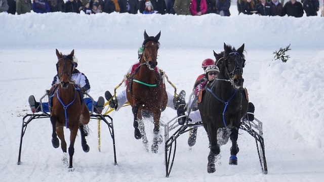 战略举措 战略举措