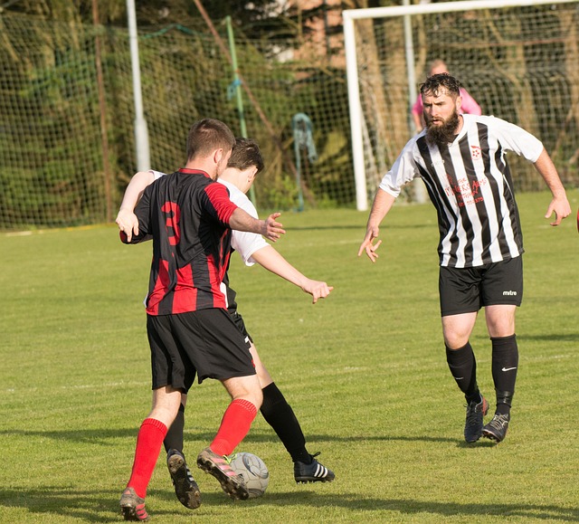 雪橇项目 雪橇项目