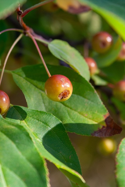 比如击败山 比如击败山
