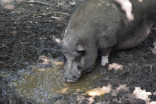 执行上的高 执行上的高